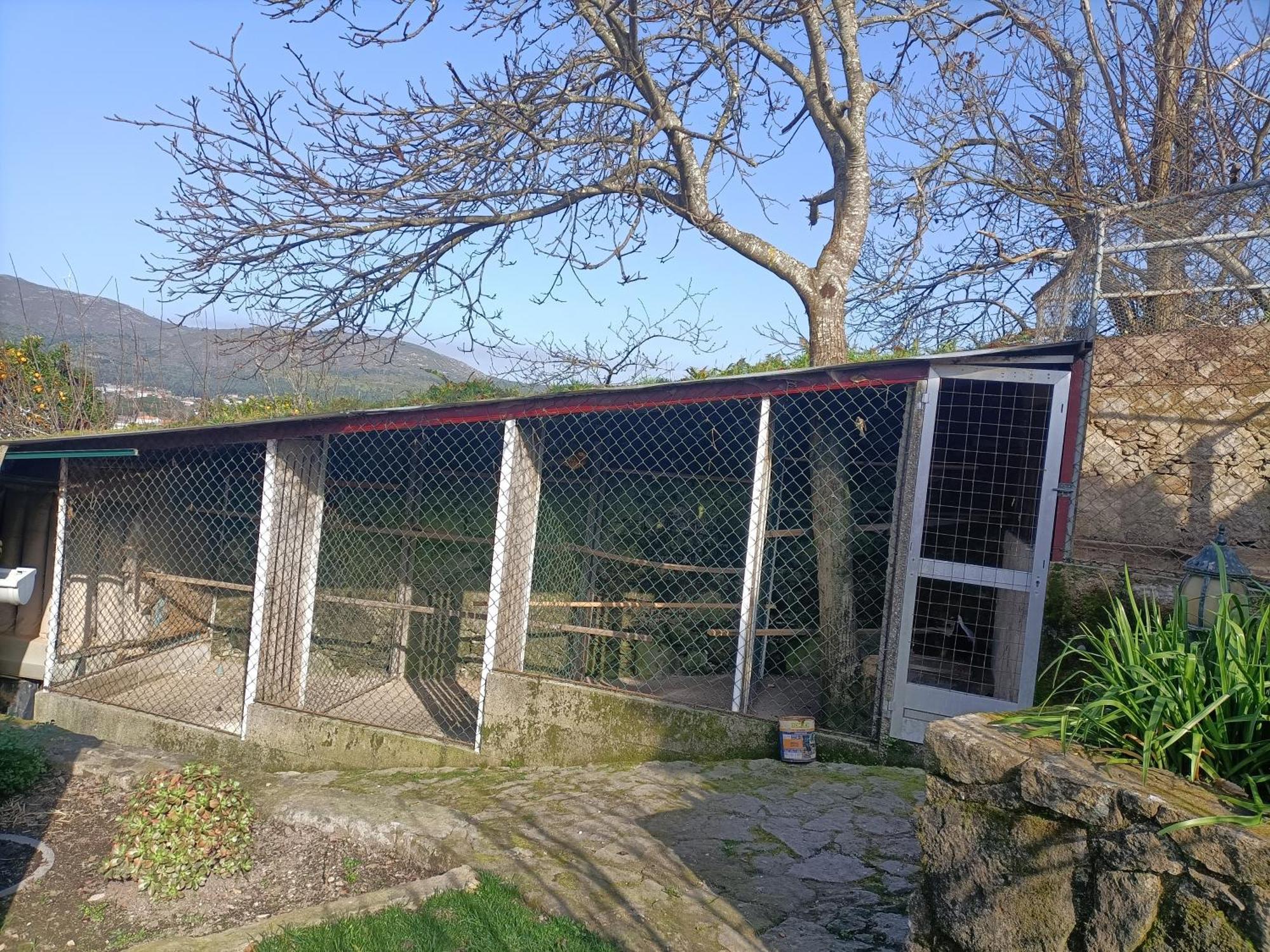 Casa De Santa Luzia B Villa Caminha Eksteriør billede