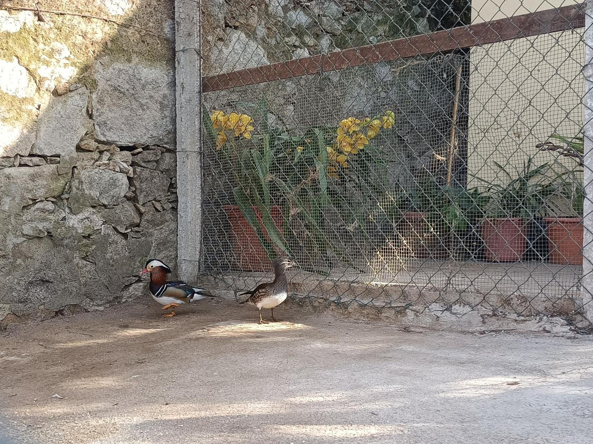 Casa De Santa Luzia B Villa Caminha Eksteriør billede
